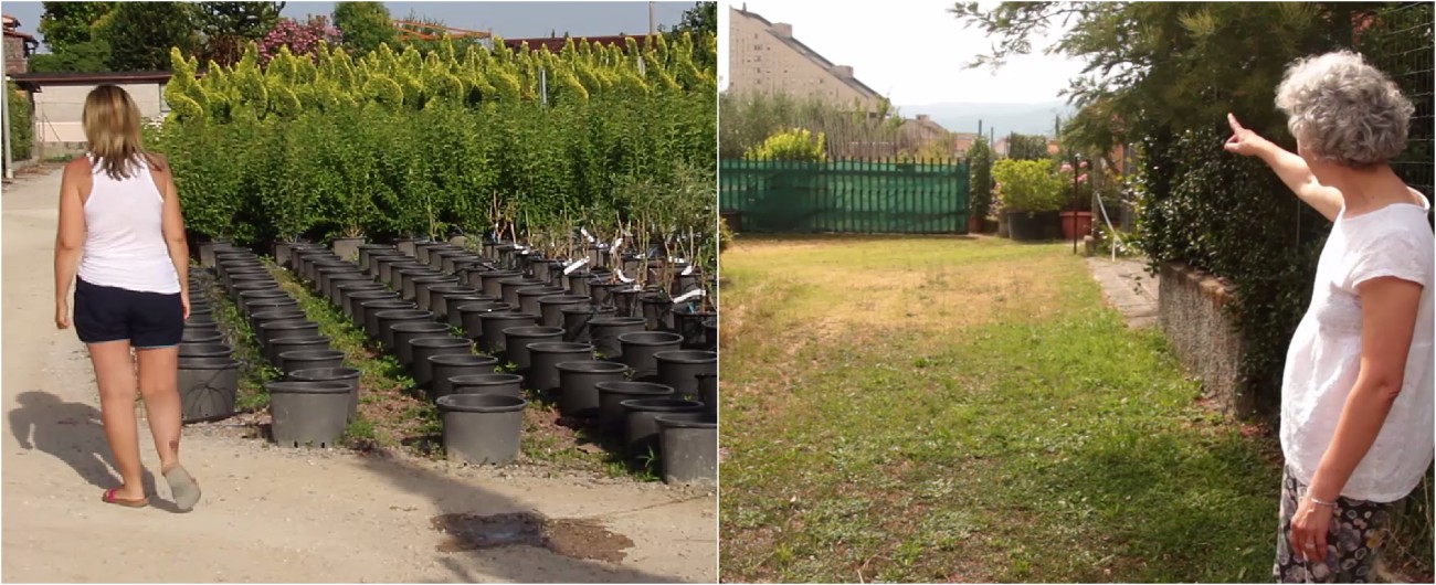 Copertina di Pistoia, comitati e cittadini contro l’aumento dei vivai: “Io in ospedale per una irritazione da diserbanti e insetticidi”