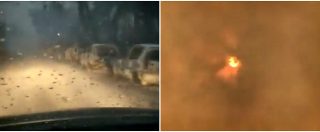 Copertina di Incendi Grecia, la strada sembra un inferno: colonne di auto bruciate e pioggia di cenere. E il sole è oscurato dal fumo