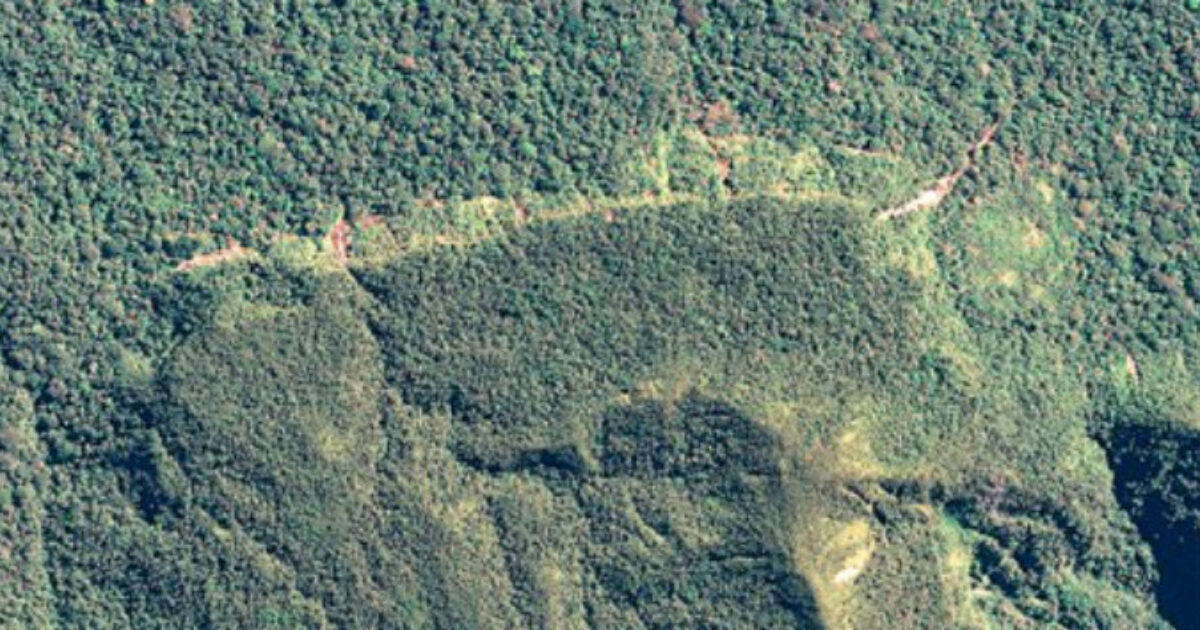 Muore mentre scala una montagna con la figlia per il suo compleanno: uomo di 63 anni colpito da un infarto sull’Ella Rock in Sri Lanka