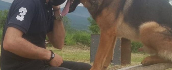 Terremoto Centro Italia, “ucciso Kaos il cane eroe di Amatrice, Norcia e Camposto”