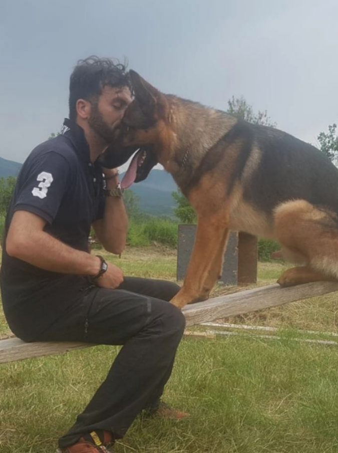 Terremoto Centro Italia, “ucciso Kaos il cane eroe di Amatrice, Norcia e Camposto”