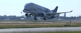 Copertina di Il primo volo del gigante dei cieli, entra in azione il BelugaXL: l’aereo cargo che trasporta altri aerei