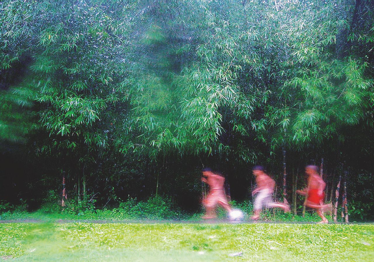 Copertina di Quella capanna nel bosco  al Margine dell’età adulta