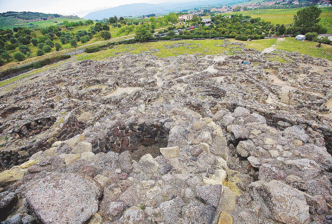 Copertina di Pascoli & boschi, la “terra di tutti” rosicchiata dai privati