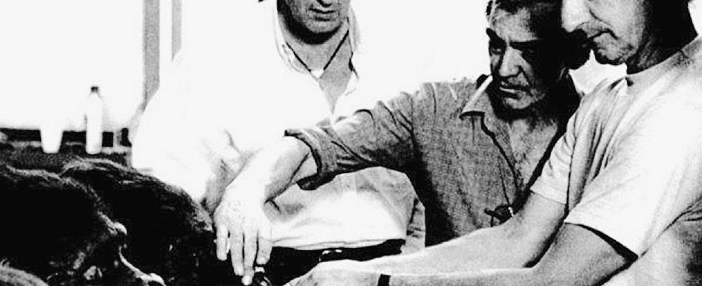 Protagonisti sul set - Trentini e Rambaldi, insieme al regista John Guillermin su “King Kong lives” Quando Lucio salvò Dario Argento dall’attentato bomba Raf