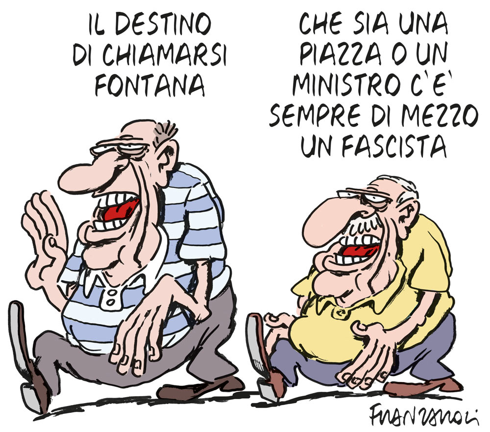 Copertina di La vignetta di Franzaroli