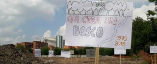 Copertina di Bologna, il bosco dei Prati di Caprara rischia di scomparire: al suo posto 1300 case, un outlet e il nuovo stadio Dall’Ara