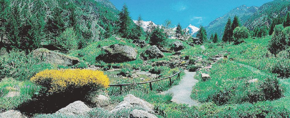Gran Paradiso - Il parco nazionale tra Piemonte e Val d’Aosta - Ansa Pro natura, gli ambientalisti arrivati dalla Resistenza