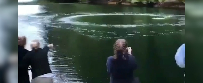 Copertina di Lo spettacolo della natura lascia i turisti senza fiato: prima le bolle sull’acqua, poi l’inaspettata sorpresa