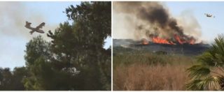 Copertina di Selinunte, incendio nel parco archeologico: in volo due canadair e un elicottero, via i turisti. Venti ettari distrutti