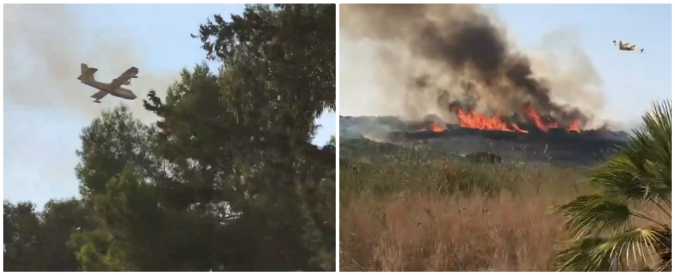 Copertina di Selinunte, incendio nel parco archeologico: in volo due canadair e un elicottero, via i turisti. Venti ettari distrutti