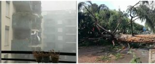 Copertina di Nubifragio a Segrate, alberi abbattuti e auto distrutte. Il Comune: “Sembra la Thailandia dopo i monsoni”
