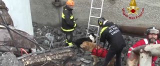 Copertina di Genova, l’intervento delle unità cinofile e dei cani alla ricerca di superstiti