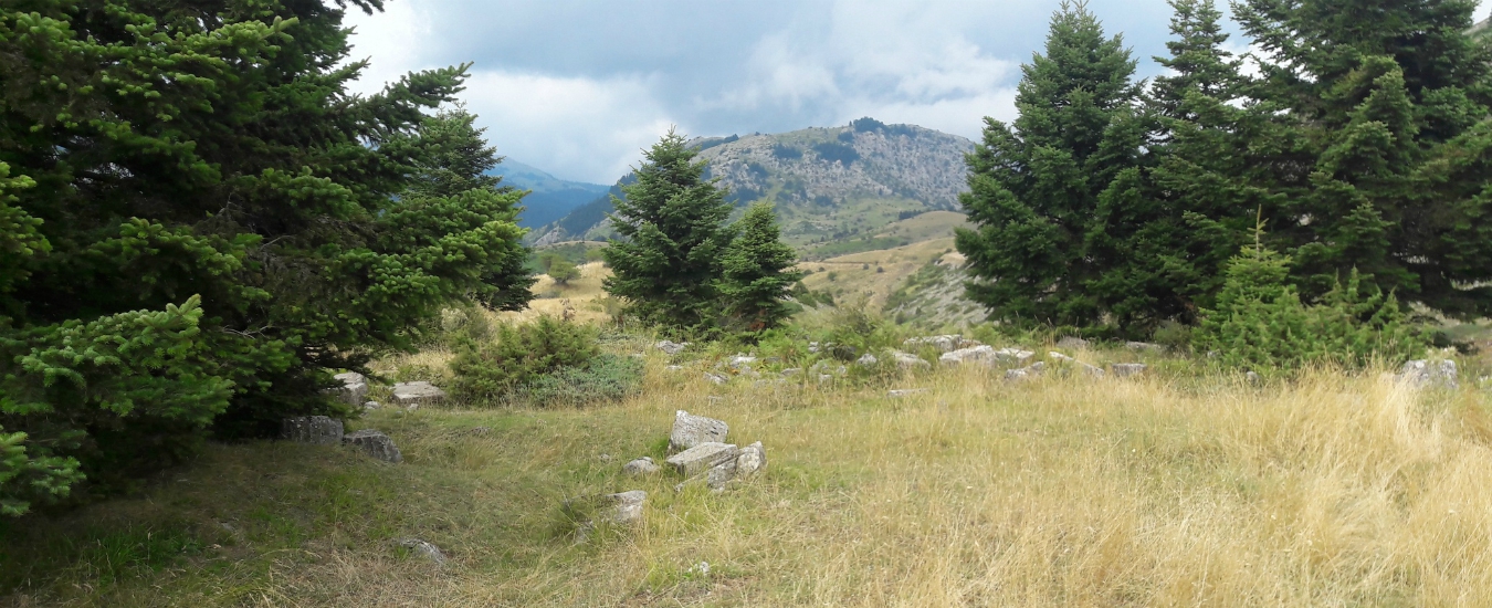 Copertina di Grecia, le grida di dolore del Tempio di Ercole. Tra degrado e storia calpestata