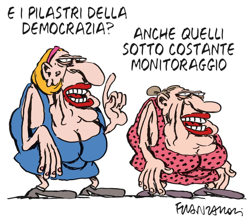 Copertina di La vignetta di Franzaroli