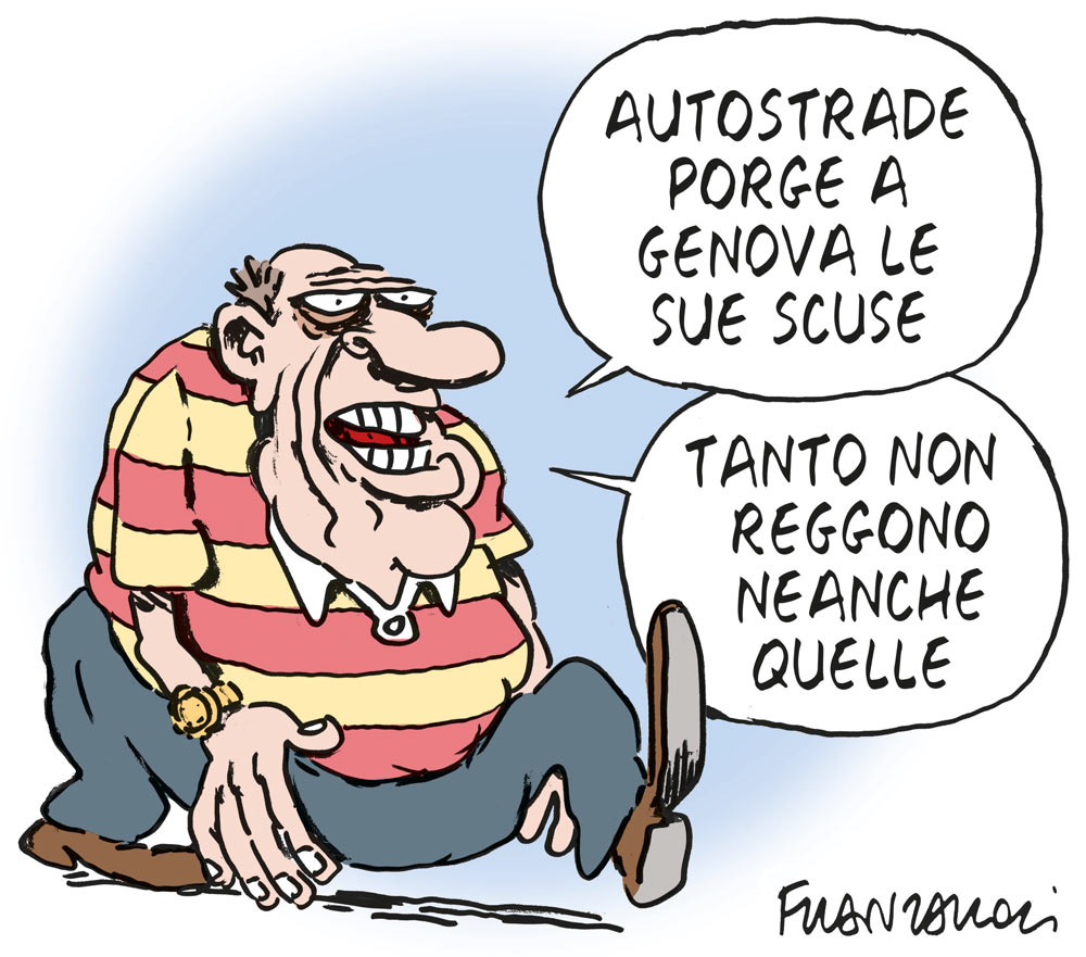 Copertina di La vignetta di Franzaroli