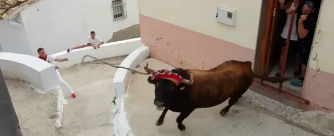 Copertina di Valencia, due turisti sono stati gravemente feriti alla fiesta del torico di Chiva: lo scatto dell’animale è implacabile