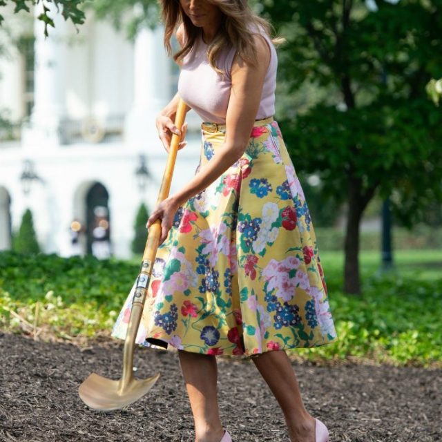 Melania Trump in tacchi a spillo rosa pianta un albero nel giardino della Casa Bianca. Sui social si scatena l’ironia