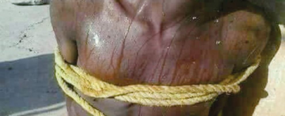 Le foto: Avvenire ha pubblicato ieri le foto dei migranti torturati nei campi di prigionia in Libia. Sono frame di filmati trovati nei telefoni di richiedenti asilo che sono arrivati in Italia. Ne ripubblichiamo una in questa pagina.
Il papa lunedì scorso, dopo l’intervento della Chiesa per i 150 della nave Diciotti, aveva detto di aver visto queste immagini estremamente drammatiche Tripoli, battaglia in periferia. Orrore nei lager dei migranti