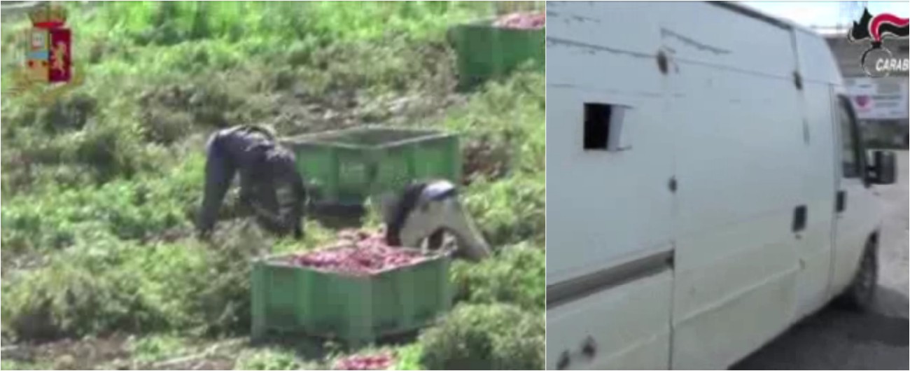 Copertina di Caporalato, con 15 braccianti su furgone senza finestrini: arrestato 40enne. Raccoglievano pomodori nel Foggiano