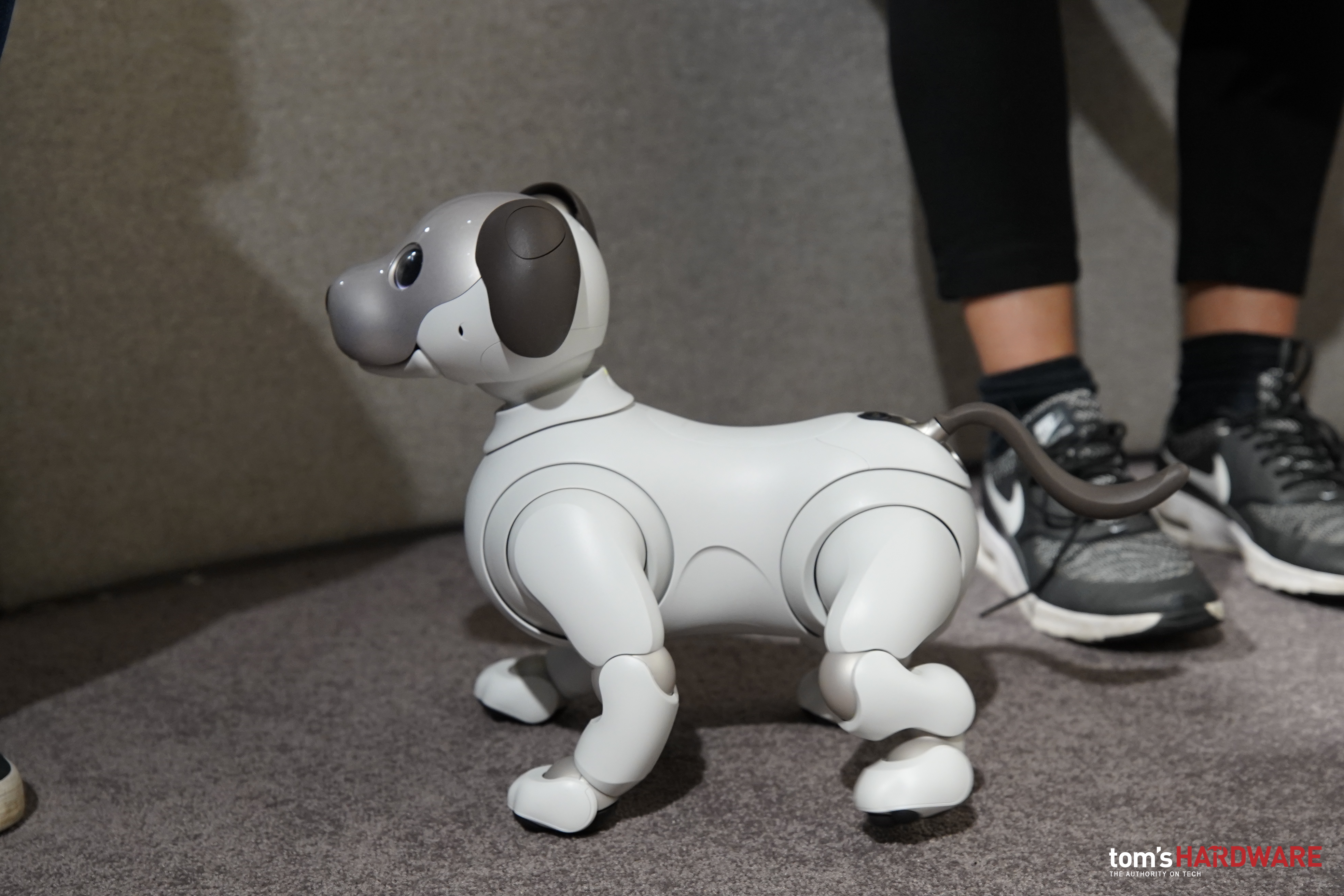 Sony AIBO a IFA 2018: il cagnolino robot che si emoziona e impara grazie all’intelligenza artificiale