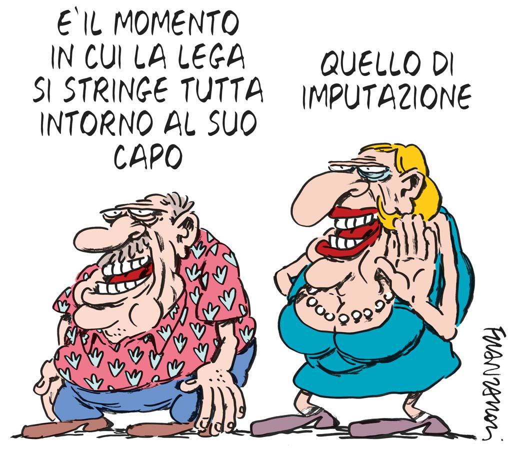 Copertina di La vignetta di Franzaroli