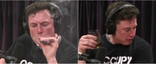 Copertina di Fuma marijuana e beve whiskey durante l’intervista: bufera su Elon Musk. E il titolo di Tesla perde il 10%