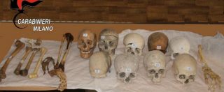 Copertina di Milano, teschi e ossa umane in vendita su eBay: un cranio vale fino a 600 euro