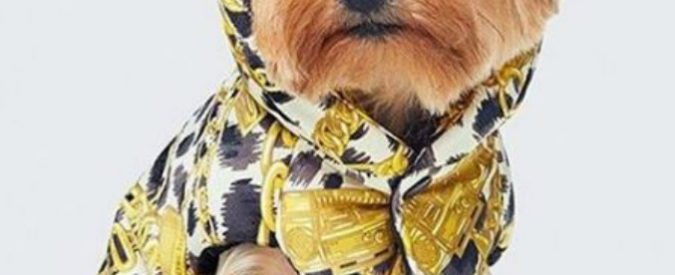 Moschino per H&M, arriva la collezione di cappottini per cani più stilosa di sempre