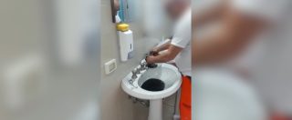 Copertina di Cosenza, il video del medico che pulisce le seppie (e le mangia) nel bagno dell’ospedale. Le risate con chi lo filma: licenziato