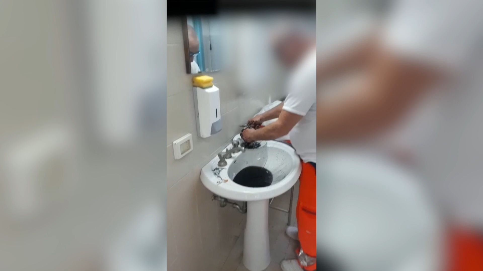Copertina di Cosenza, il video del medico che pulisce le seppie (e le mangia) nel bagno dell’ospedale. Le risate con chi lo filma: licenziato