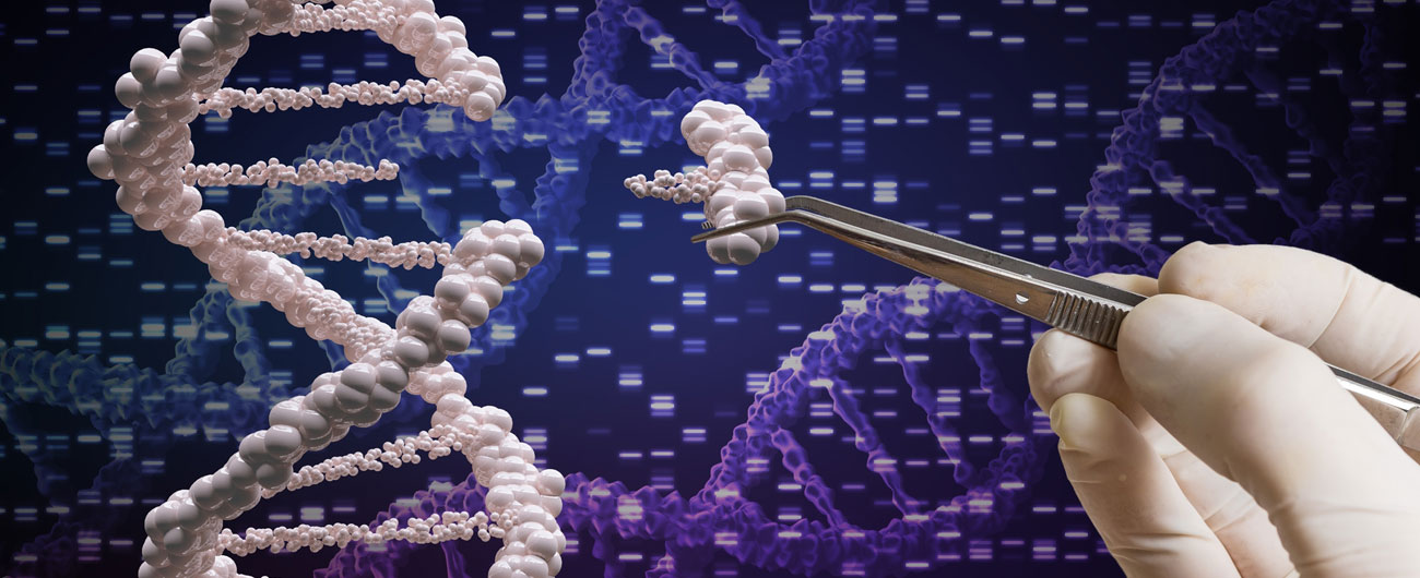 Meglio la biologia dell’informatica, è lì che ci sarà la prossima rivoluzione grazie alla manipolazione genetica CRISPR