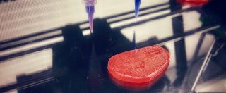 Copertina di Si potrà scrivere veggie burger, ma non più “bistecca vegetale” e altre 30 denominazioni: l’accordo in Ue