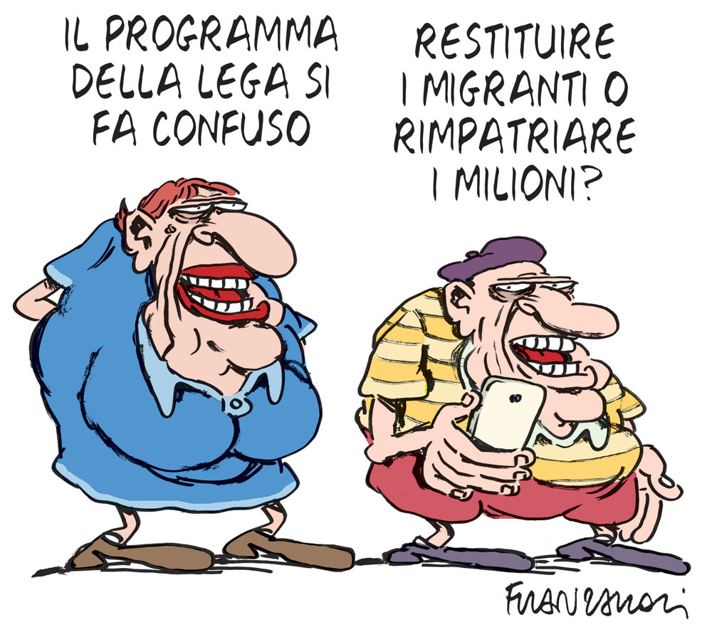 Copertina di La vignetta di Franzaroli