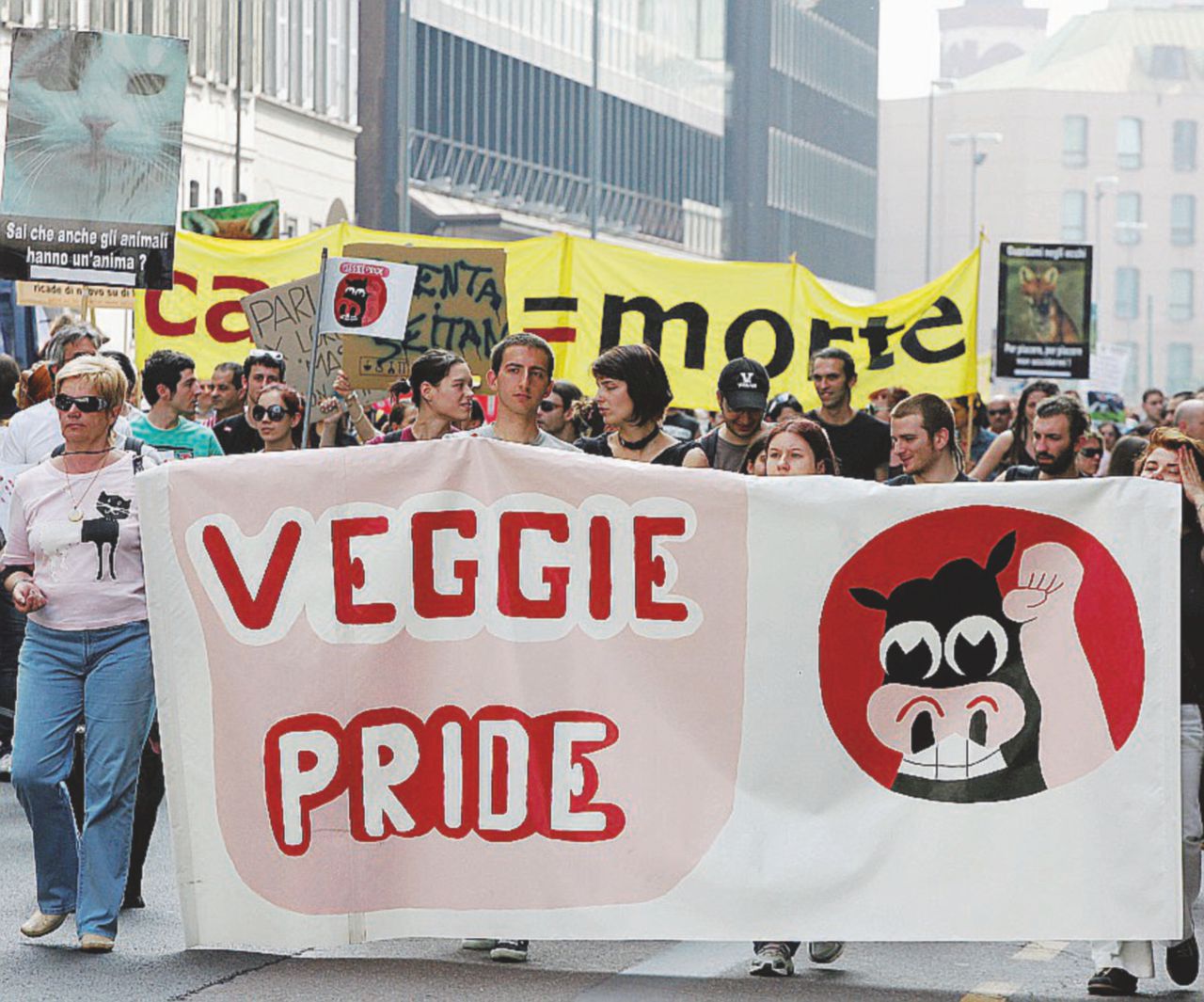 I vegani hanno i loro ultràs e i macellai assoldano vigilantes I vegani hanno i loro ultràs e i macellai assoldano vigilantes
