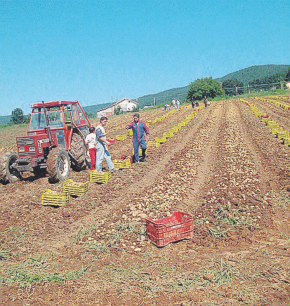 Copertina di Caporali al Nord: colpevoli ma non troppo
