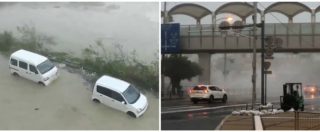 Copertina di Giappone, il tifone Trami si abbatte sul Paese: due morti, 100 feriti e vento a più di 200 km/h. Le immagini
