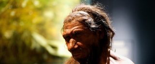 Copertina di Neanderthal, scoperti a Trieste e ad Anagni dei denti fossili risalenti a 450mila anni fa