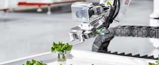 Copertina di La fattoria robot che produce lattuga idroponica sotto casa, quasi tutto automatico
