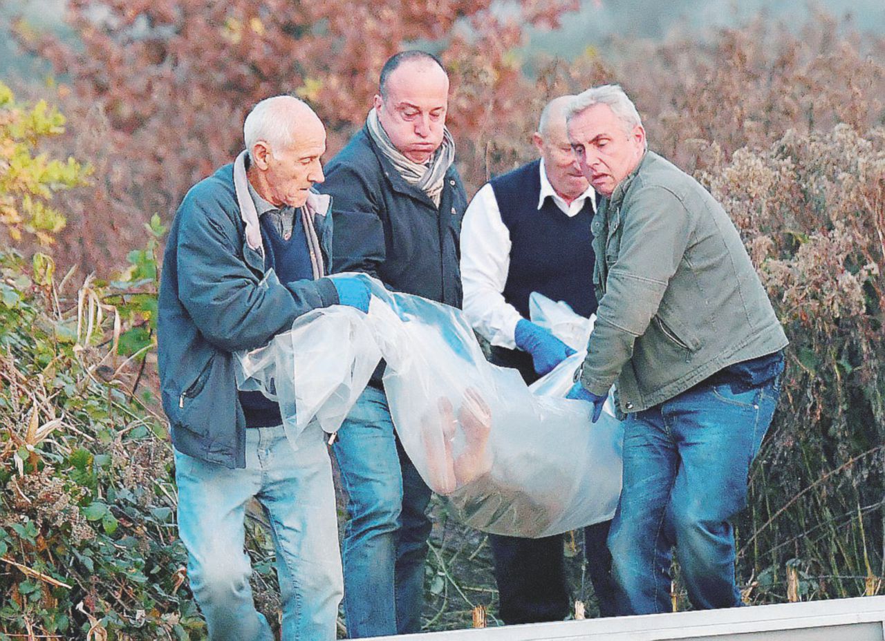 Copertina di La ferocia dei pastori (italiani) non vale i rapinatori (romeni)