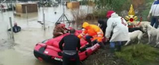 Copertina di Maltempo Calabria, 250 cani rischiano di annegare nel canile di Cirò Marina. L’intervento dei pompieri dopo l’alluvione