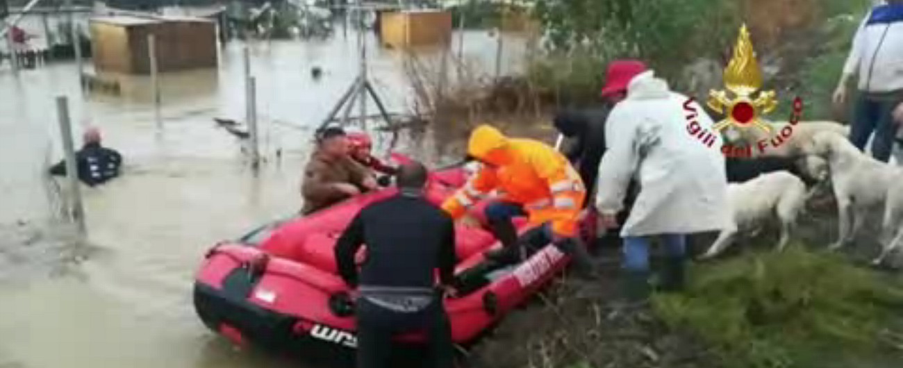 Copertina di Maltempo Calabria, 250 cani rischiano di annegare nel canile di Cirò Marina. L’intervento dei pompieri dopo l’alluvione