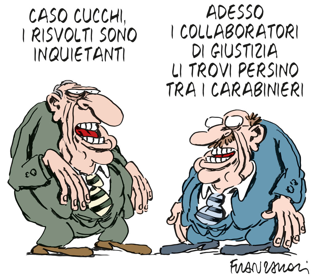 Copertina di La vignetta di Franzaroli