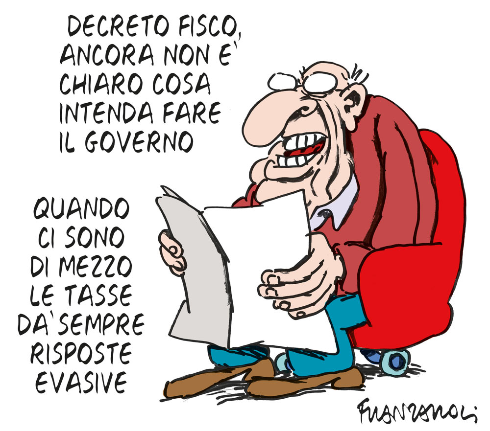 Copertina di La vignetta di Franzaroli