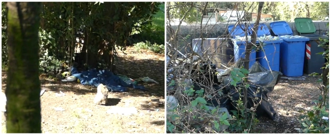 Copertina di Roma, degrado e rifiuti a Villa Borghese. La denuncia: “Parco abbandonato a se stesso”. Il Comune: “A breve nuovi lavori”