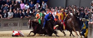 Copertina di Palio di Siena, morto il cavallo Raol. Animalisti: “Decesso annunciato”. E presentano denuncia in procura