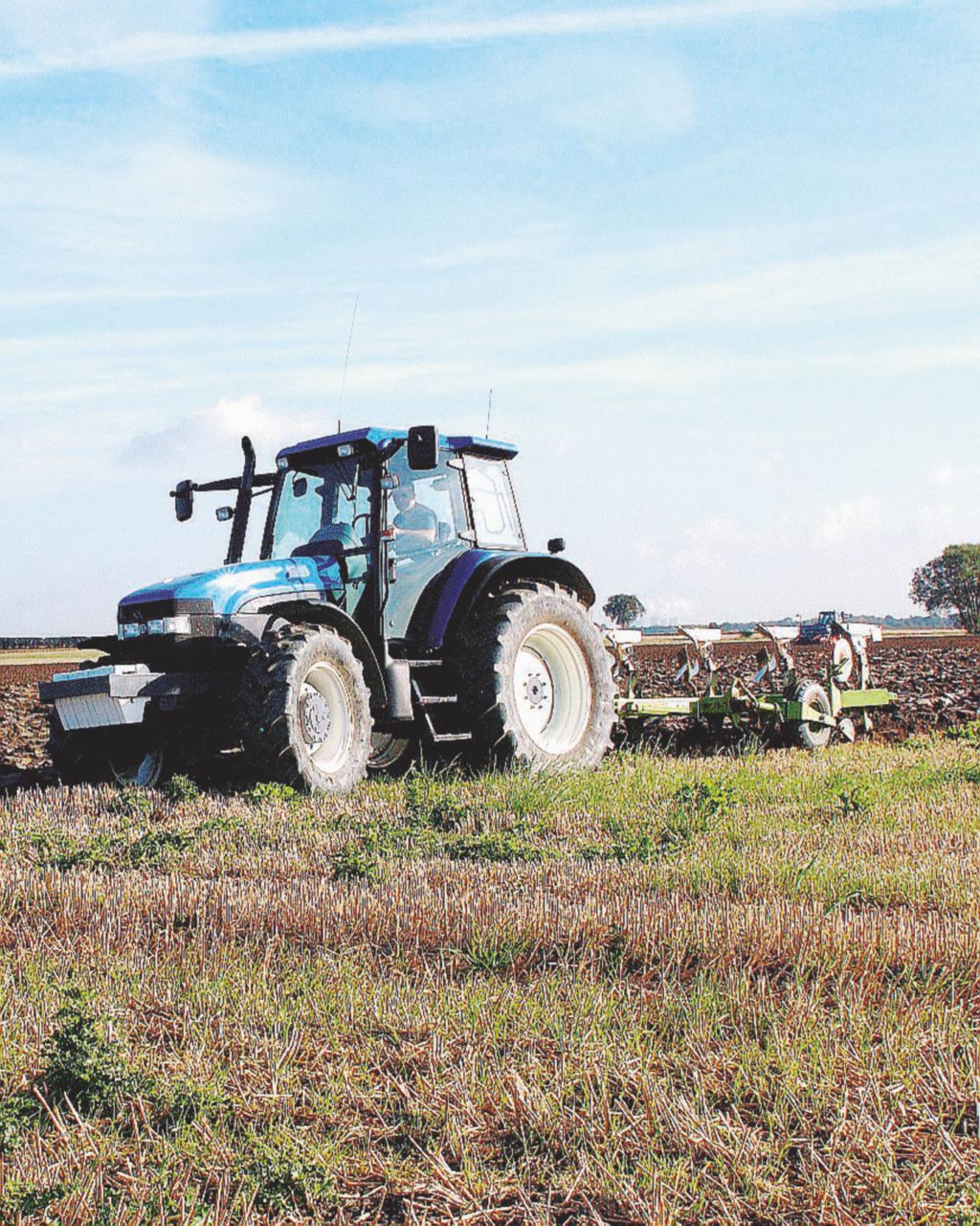 Anche le diossine nei fanghi scaricati sui terreni agricoli Anche le diossine nei fanghi scaricati sui terreni agricoli