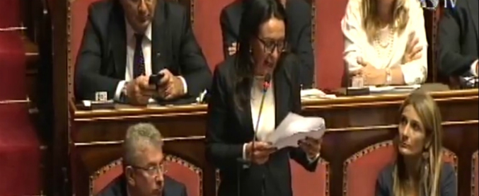 Copertina di Legittima difesa, le dichiarazioni di voto al disegno di legge in Senato: segui la diretta