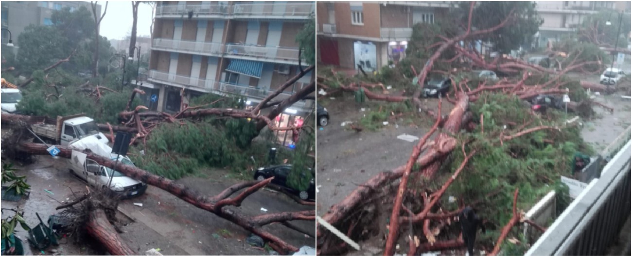 Copertina di Maltempo, tromba d’aria nel centro di Terracina: alberi divelti e auto distrutte. Un morto e diversi feriti
