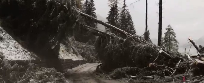 Copertina di Maltempo Belluno, l’appello di Zaia: “Paesaggio lunare, niente luce e strade interrotte. Serve intervento urgente”